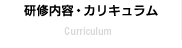 研修内容・カリキュラム